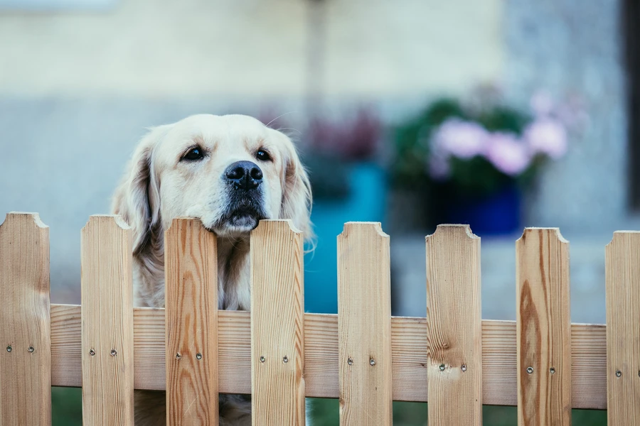 Expert Wood Fencing Lakeland, TN